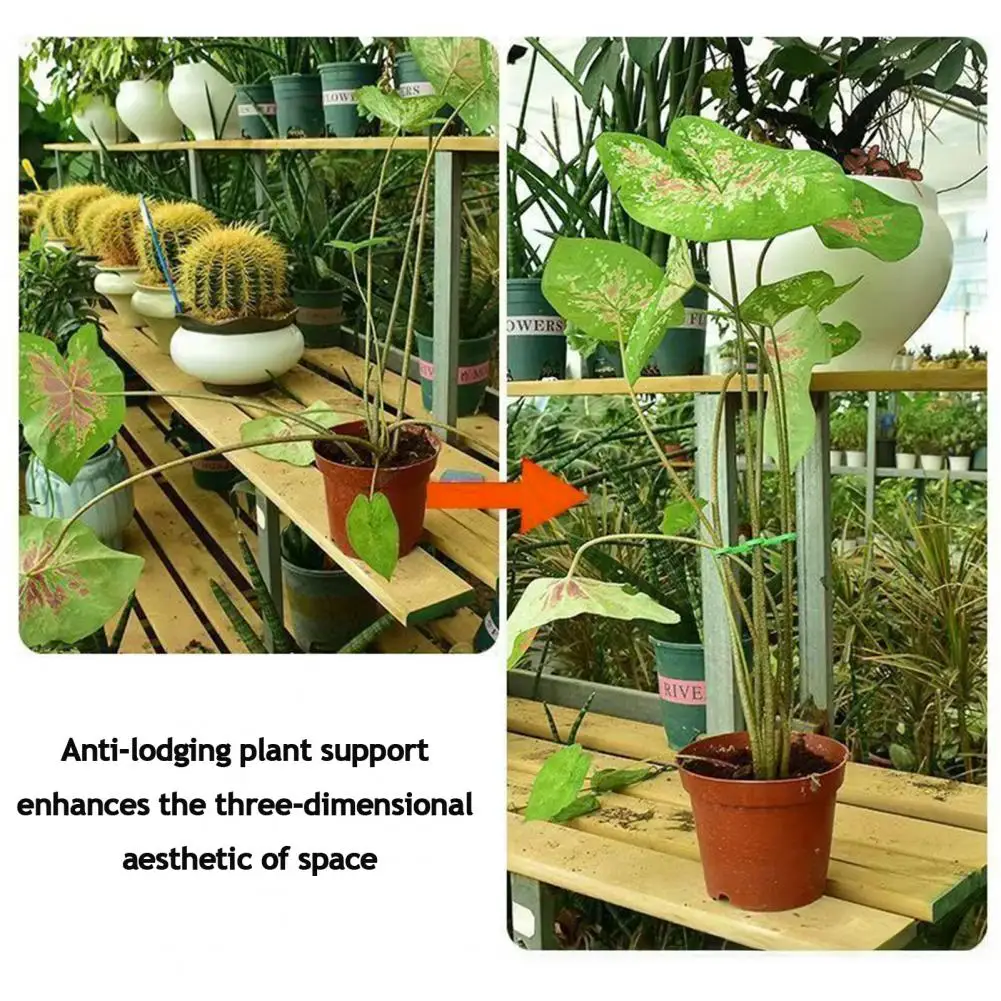 Non-damaging Plant Stand Plant Stand 40pcs Plant Support Brackets Set Soft Plastic Upright Growth Stands Multiple for Gardening