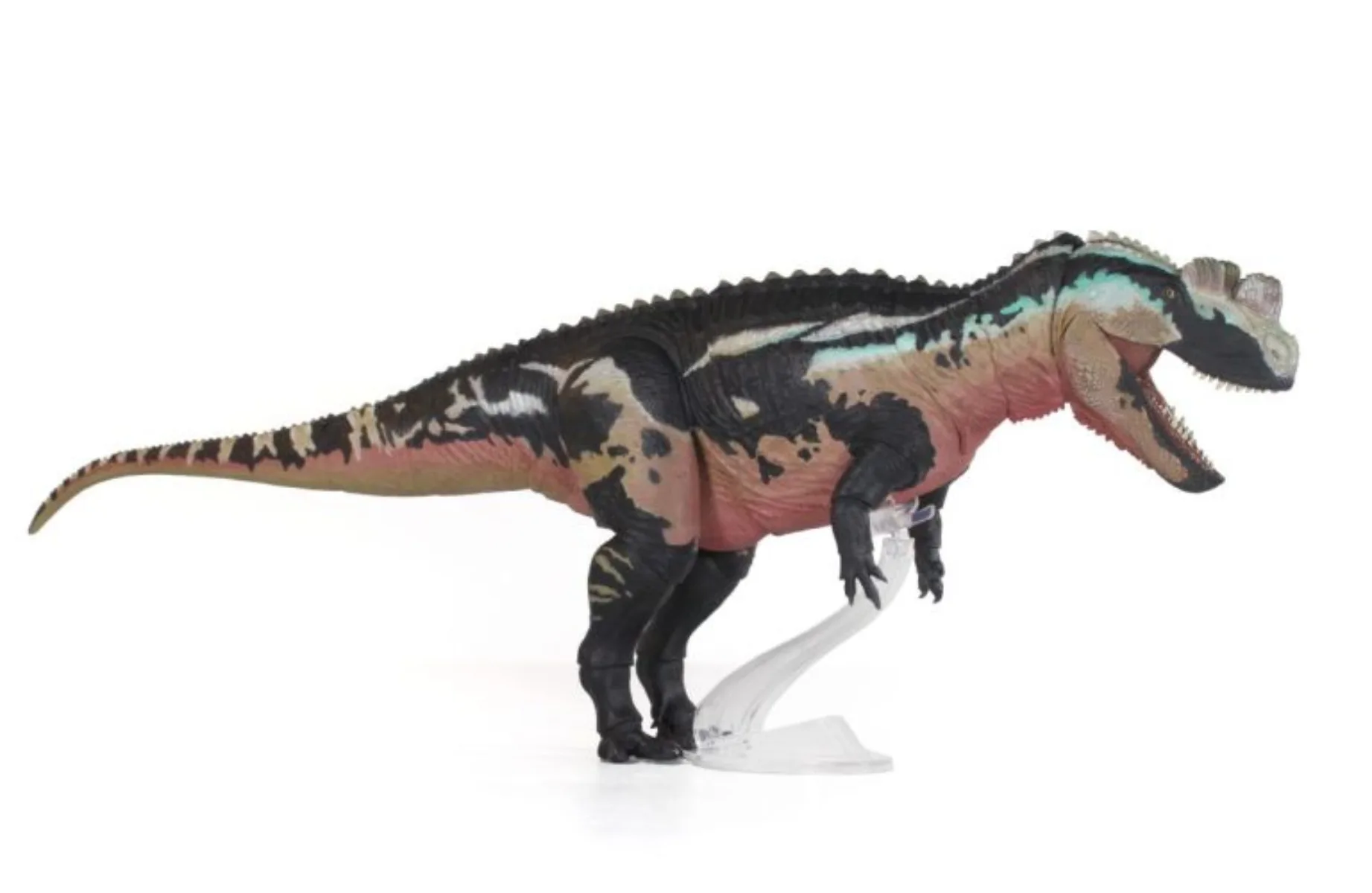 Beasts of the Mesozoic Studio 1/18th Scale Ceratosaurus Dentisulcatus Model Collection Scene Decoration Action Figure Gift view 6
