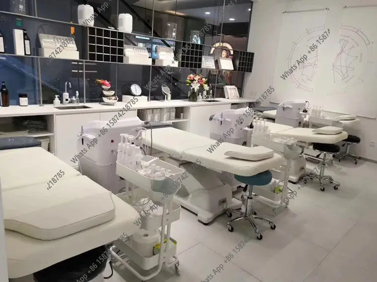

Bn Beauty Salon Special Electric Lifting Beauty Bed Embroidery Bed Massage Massage Body Bed