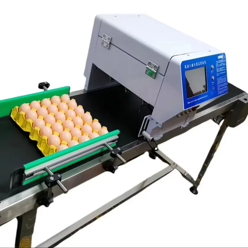 High-speed Logo Marking Machine TIJ Eggs Coding Pr0inter
