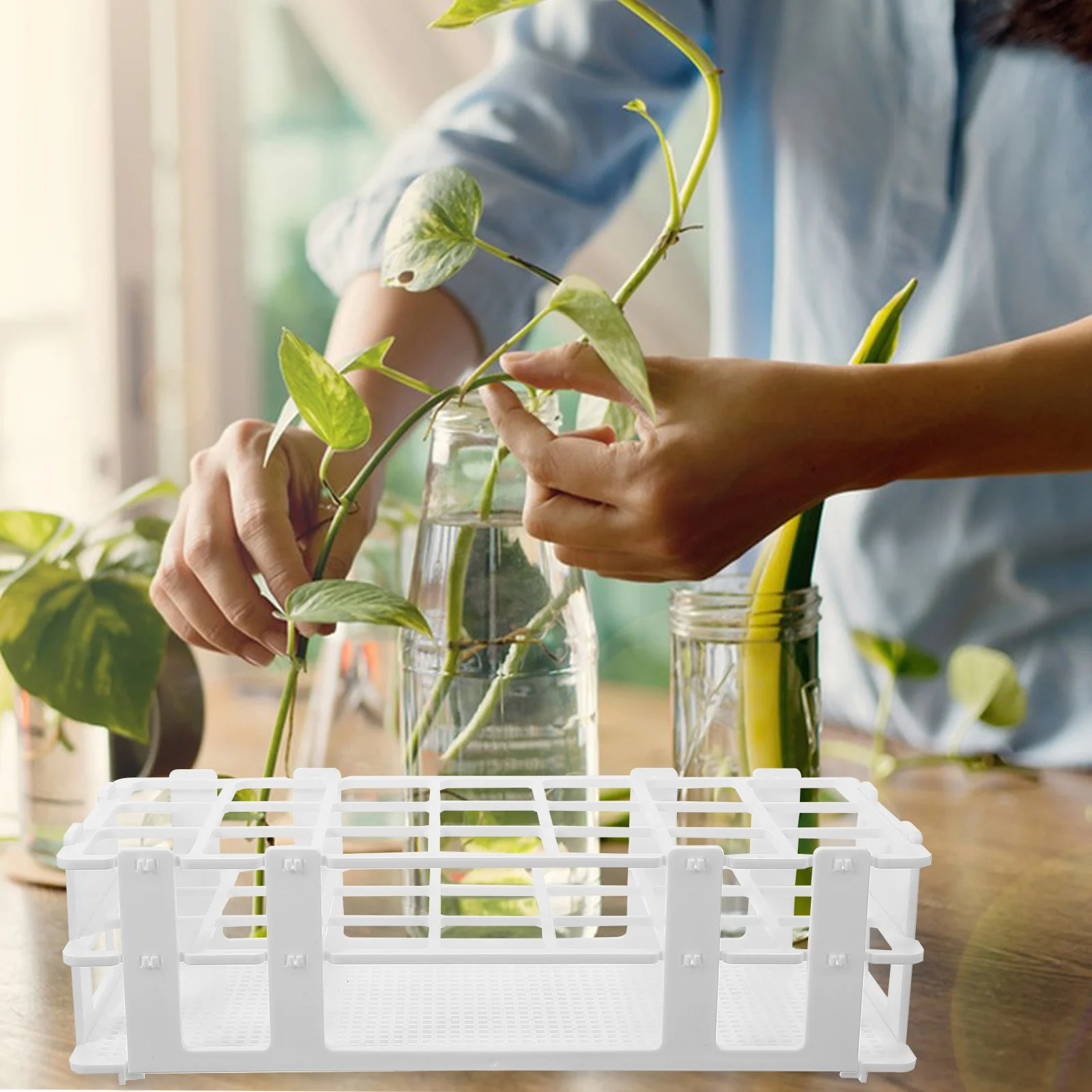 

Glass Tube Bracket Storage Holder Pipe Plastic for Test Tubes Flower Pot Planting Hydroponic