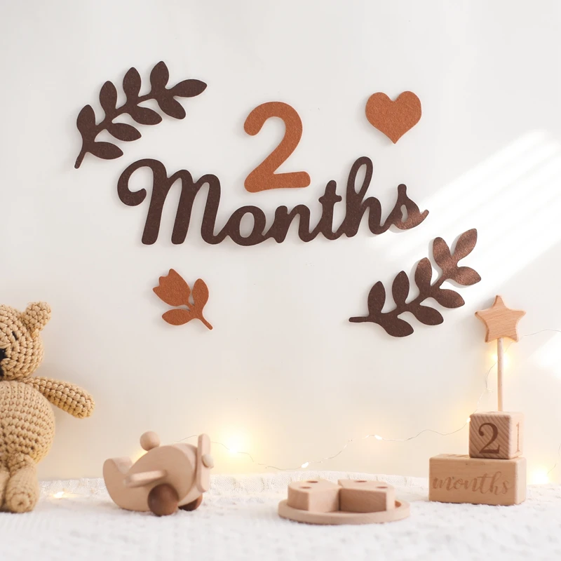 

Felt Digit Baby Month Milestone Card Newborn Photography Prop Milestone Memorial Monthly Baby Souvenir Newborn Photo Accessories