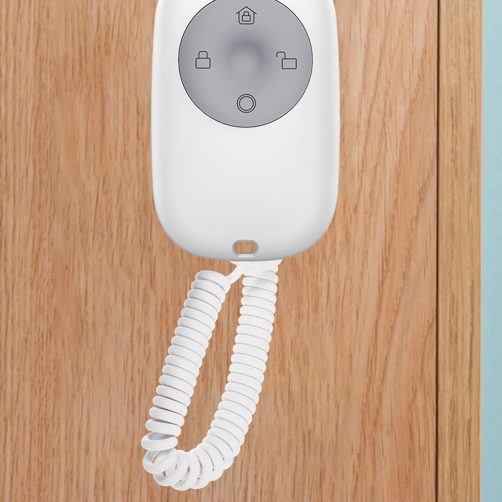 2 Pcs Control Universal Remote Anti-lost Rope Self-adhesive Hook Without Punching 2pcs (oval) Phone Lanyard DVD Tether