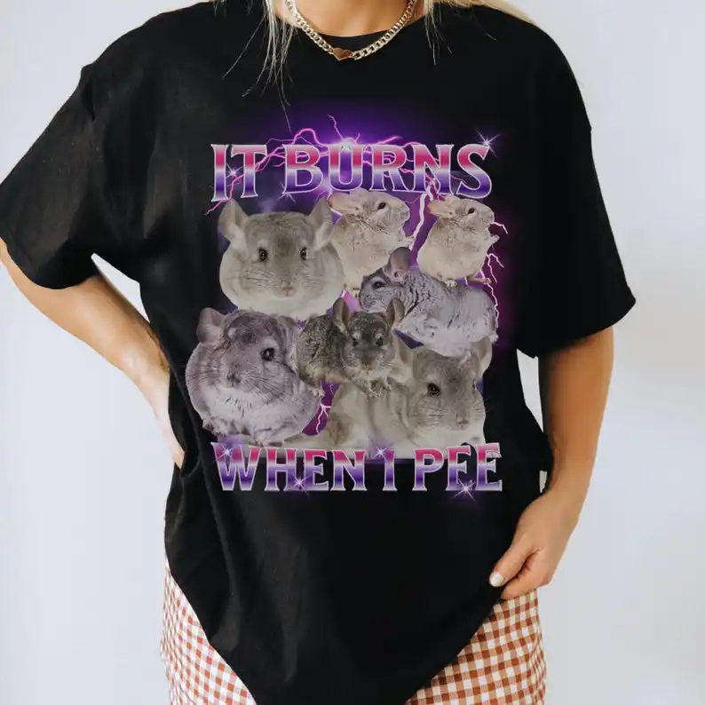 Rude Dirty Unhinged T-shirt Inappropriate Offensive TShirts That Go Hard Chinchilla Cursed Shirt Embarrassing Shirt