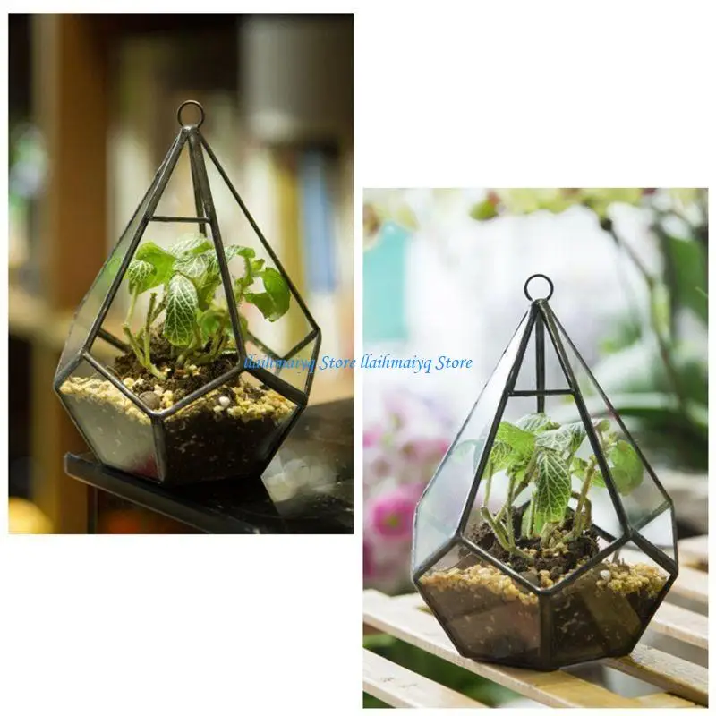 

573B Geometric Glass Terrarium Box Handmade Five-sided Rhombus Glass Table Top Disply