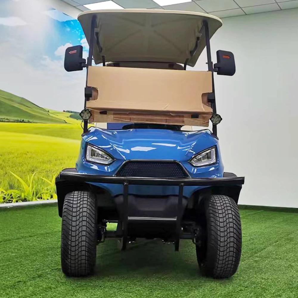 عربة جولف تعمل بالطاقة الكهربائية بمقعدين مباشرة من المصنع للبيع #2