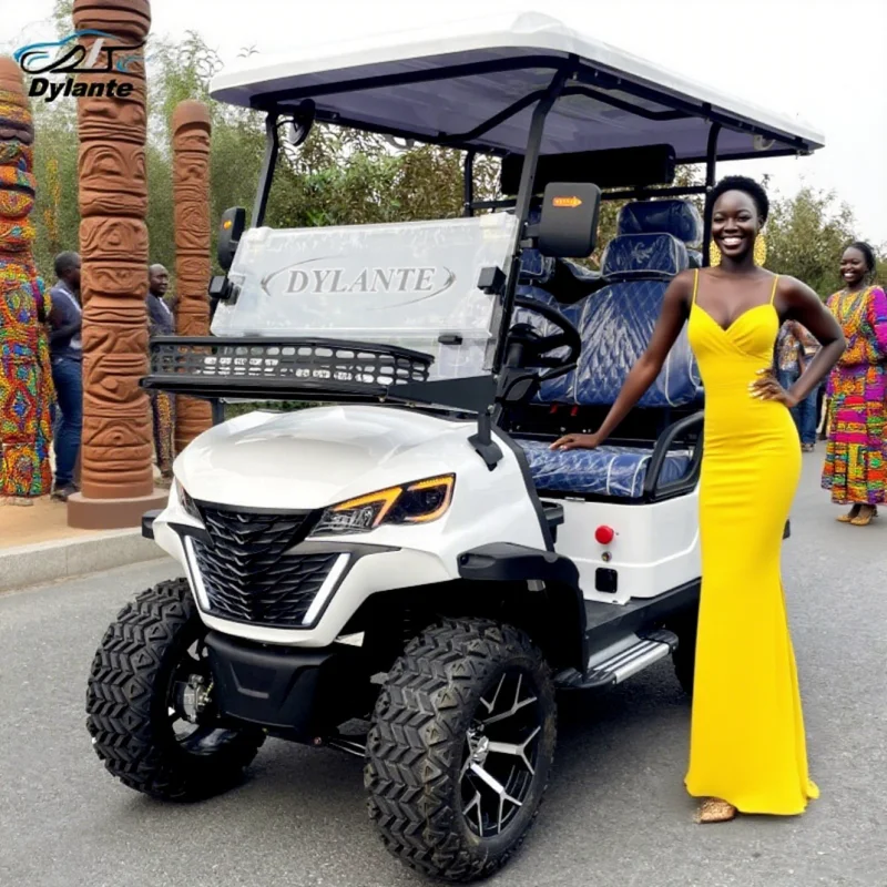 

Производитель гольф-каров, литиевая батарея, охотничья багги, 72 В, многофункциональный мини-2/4/6/8 мест/пассажиры, уличный легальный солнечный автомобиль