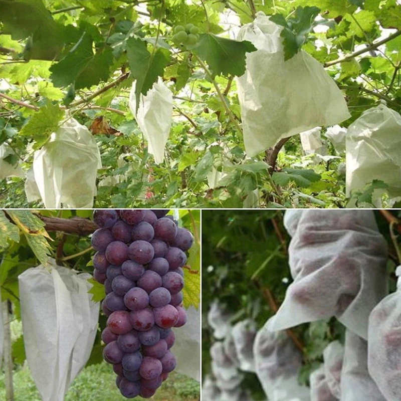 100pcs Garden Strawberry Grapes Fruit Protection Bags Cover Plant Nursery Bag Pest Control Anti-Bird Mesh Bag Gardening Protect