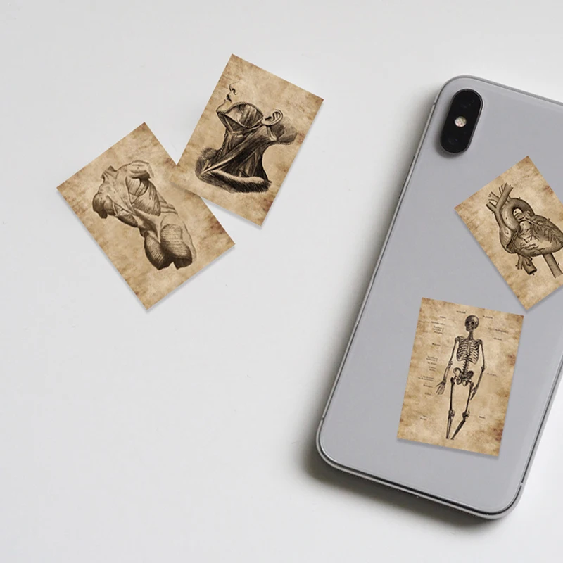 New 56pcs/set Human Body Organ Stickers Waterproof Sticker Anatomy Map Decals For Water Bottle Laptop Luggage Phone