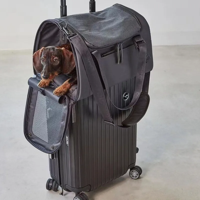 

Большая вместительная дорожная сумка для хранения домашних животных, портативный складной органайзер для собак, сумка-тоут, сумка для переноски, все для еды, игрушки, аксессуары