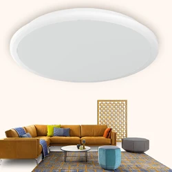 LED Ceiling Light 24W Round Flush Ceiling Light 6500K/3000K 2400lm Waterproof IP54 Ceiling Lamp Ø30cm