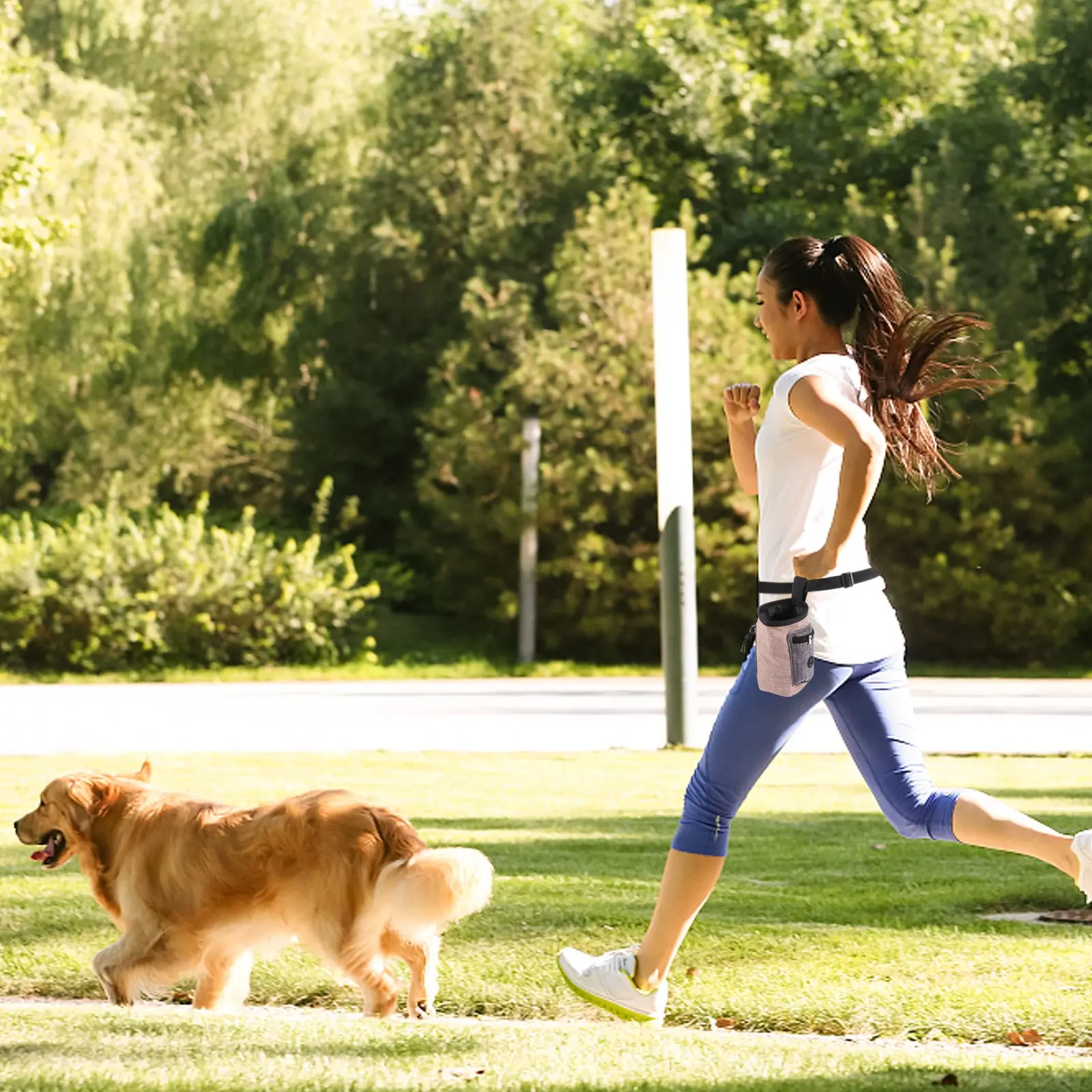 

Dog Training Pouch Intelligent Design Elastic Buckle Strong Spring Middle Pocket for Pet Snacks Accessories Outdoor Fun