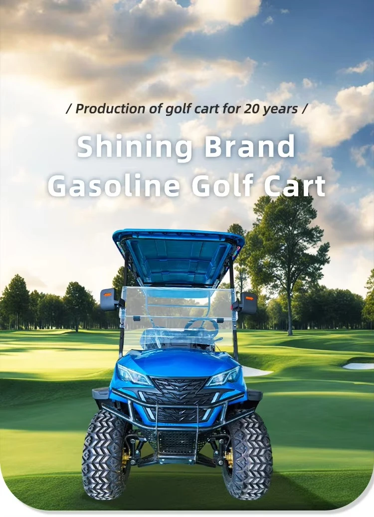 lsv New 6-Seater 400CC Gas Golf Cart Petrol with 4 Stroke Engine