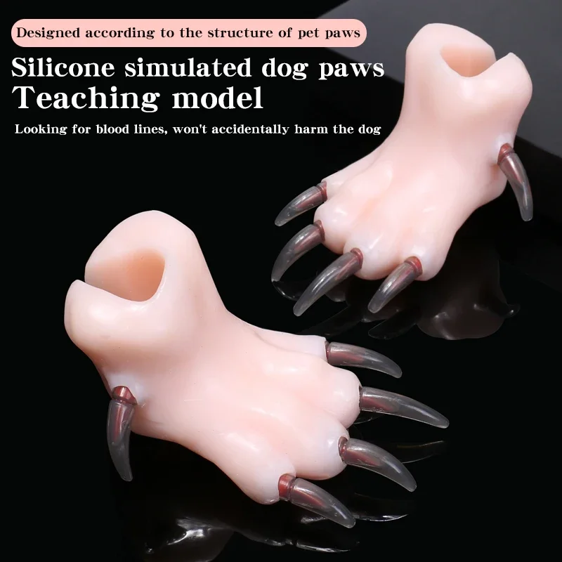 Silicone Simulation Dog Paw Teaching Model, Pet Beauty School Teaching, Junior Pet Beauticians Practicing Cutting Dog Nails