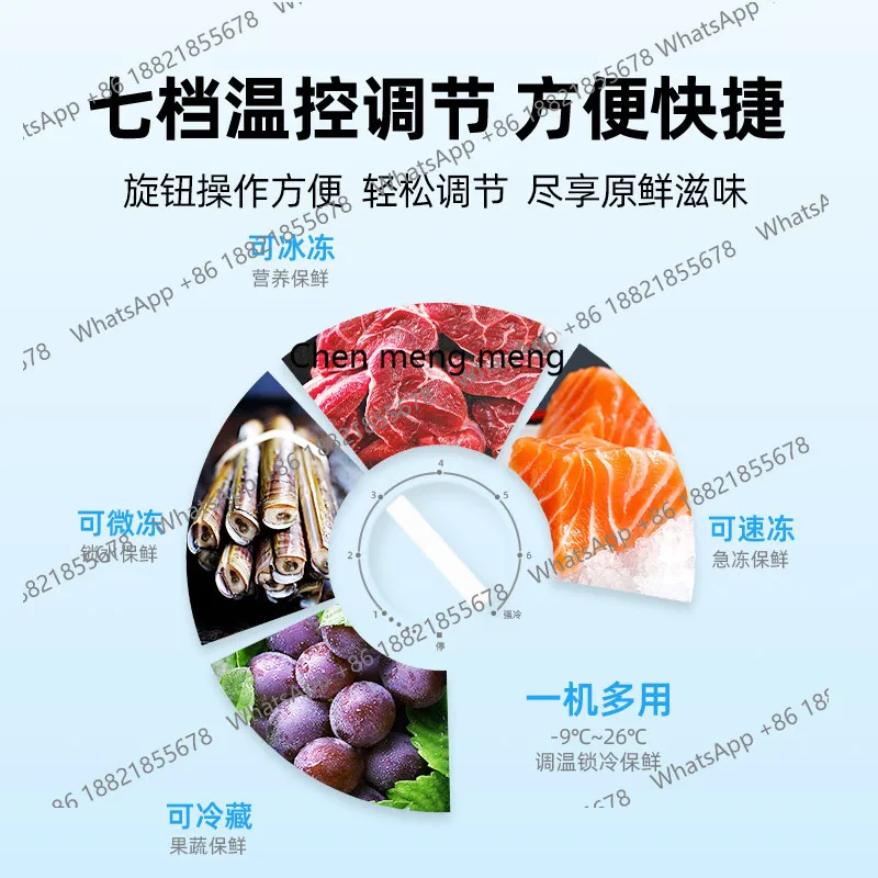 Kleiner gekühlter und gefrorener horizontaler Doppeltemperatur-Gefrierschrank mit großer Kapazität für den Haushalt