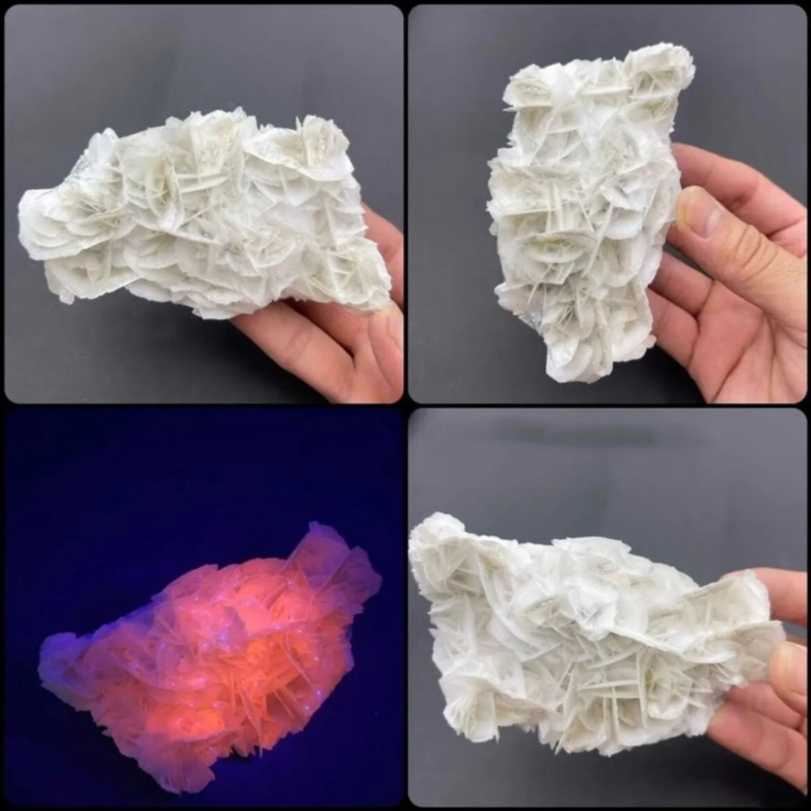 

1pc White Rose Calcite Stone - Fluorescent Effect under Purple Light - Perfect for Home Decor, Collection, Holidays Gift