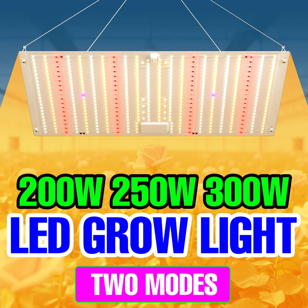 

300W LED Full Spectrum Quantum Board Plant Grow Light Indoor Greenhouse Tent Potted Flowers Hydroponics Fill Lighting EU/US Plug