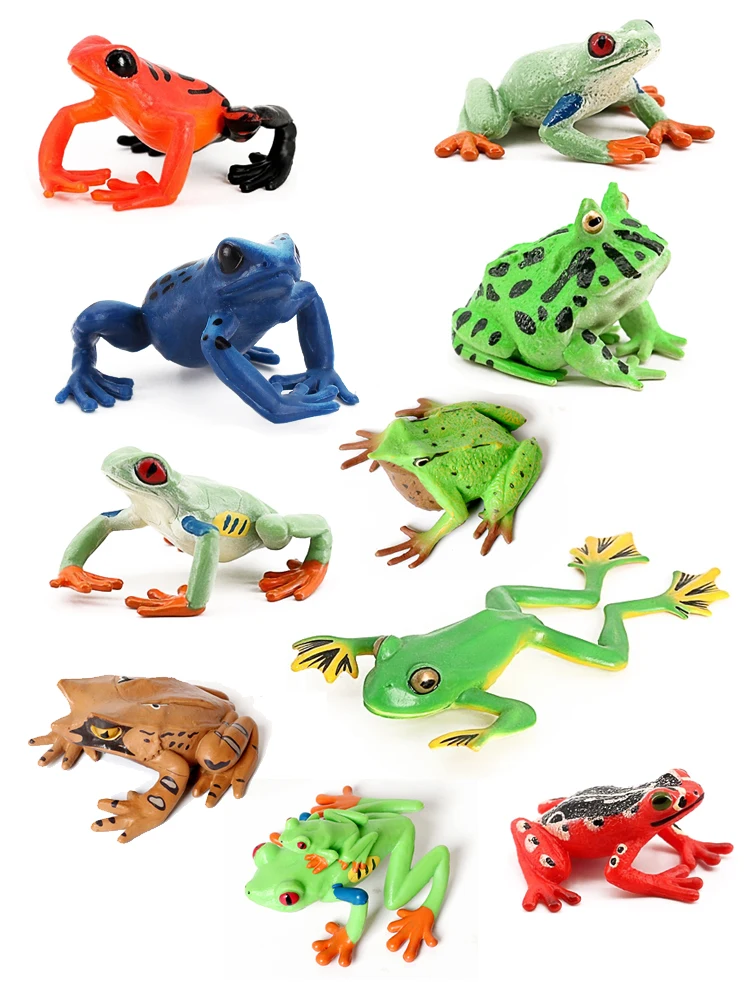 AliExpress XPFigures Frogs Models Wild Animals Figurines Plastic Animals Toy Simulation Tadpole Hatch Frog Growth Cycle Action Figure Toys for Kids