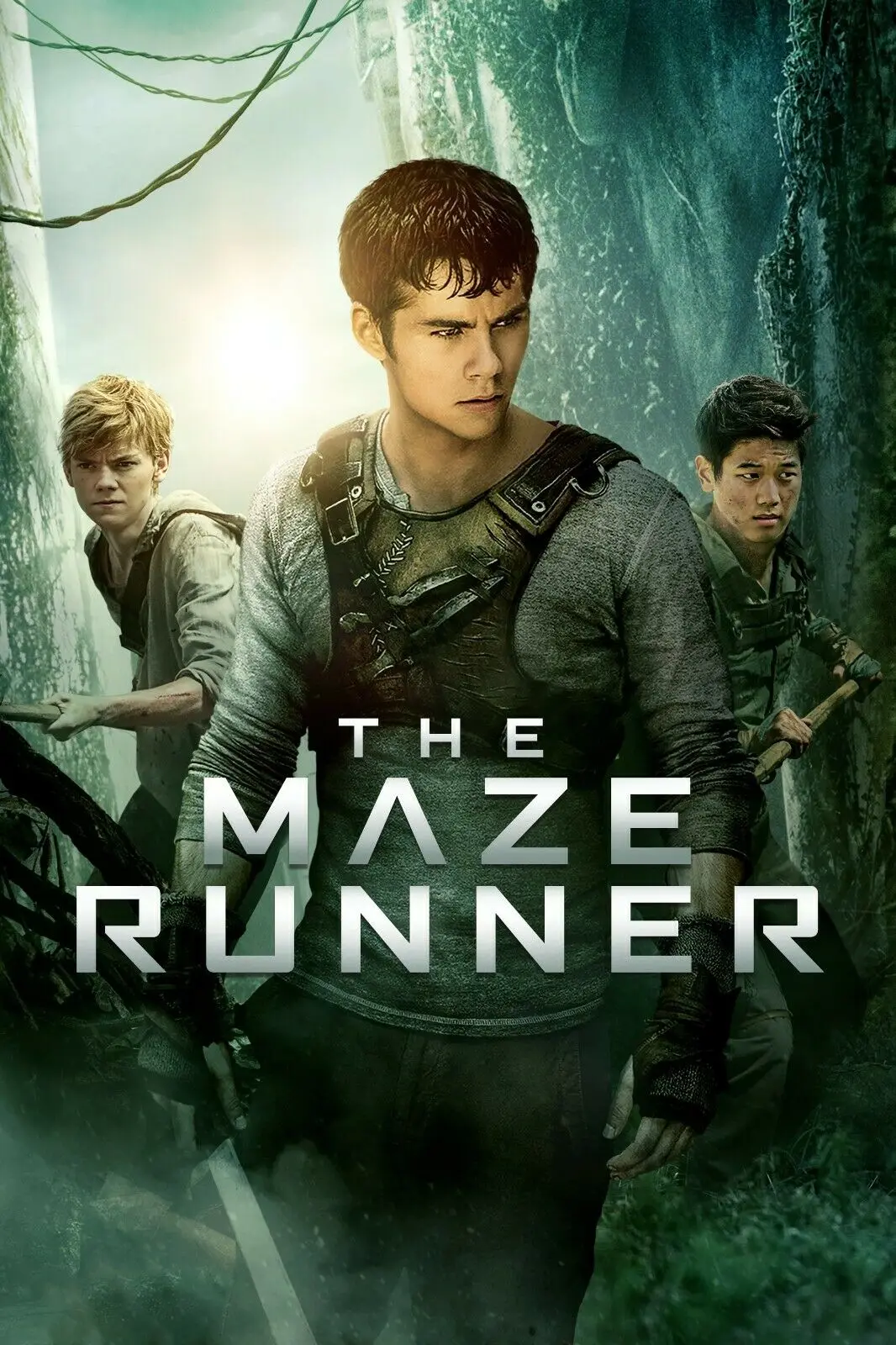 The Maze Runner Movie, Art Picture Print Silk Poster,Home Wall Decor