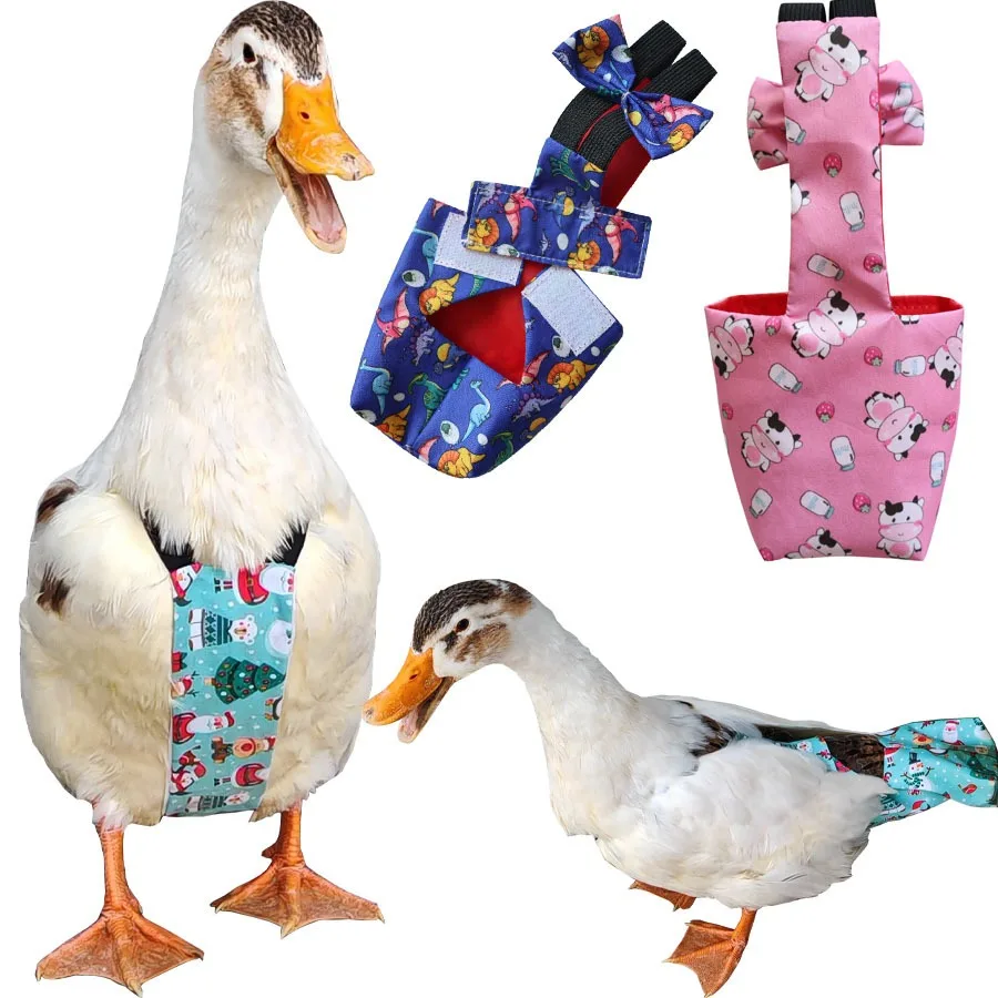 Pet Duck Diaper Clothes Goose Chicken Pigeon Parrot Reusable Washable Nappy Suit(S&M&L)