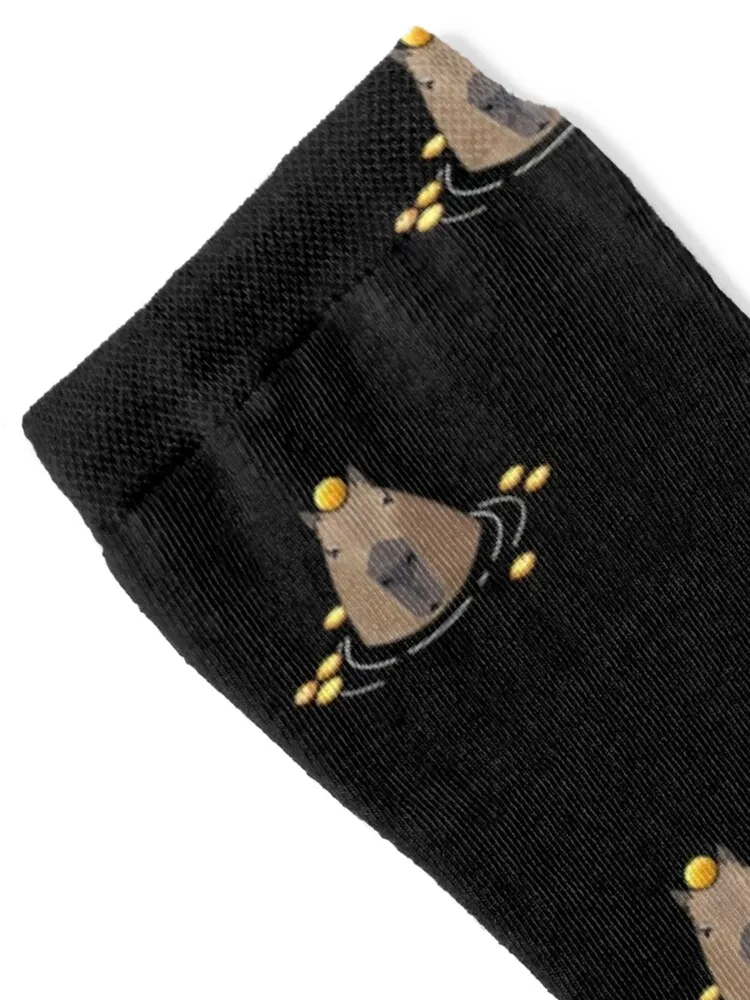 Capybara Socks sports and leisure Rugby designer football Socks Man Women's