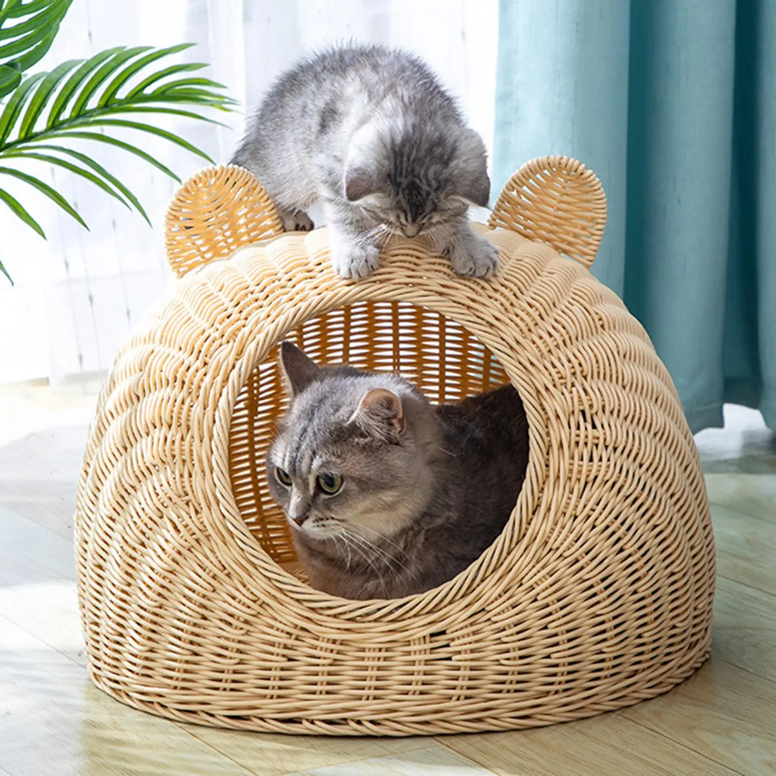 Imagem -02 - Cat Shaped Rattan Pet Bed Interior Lavável Ninho de Gatinho Gaiola Semi-fechada Pequeno Jogo Dormir Kennel Pet Shop