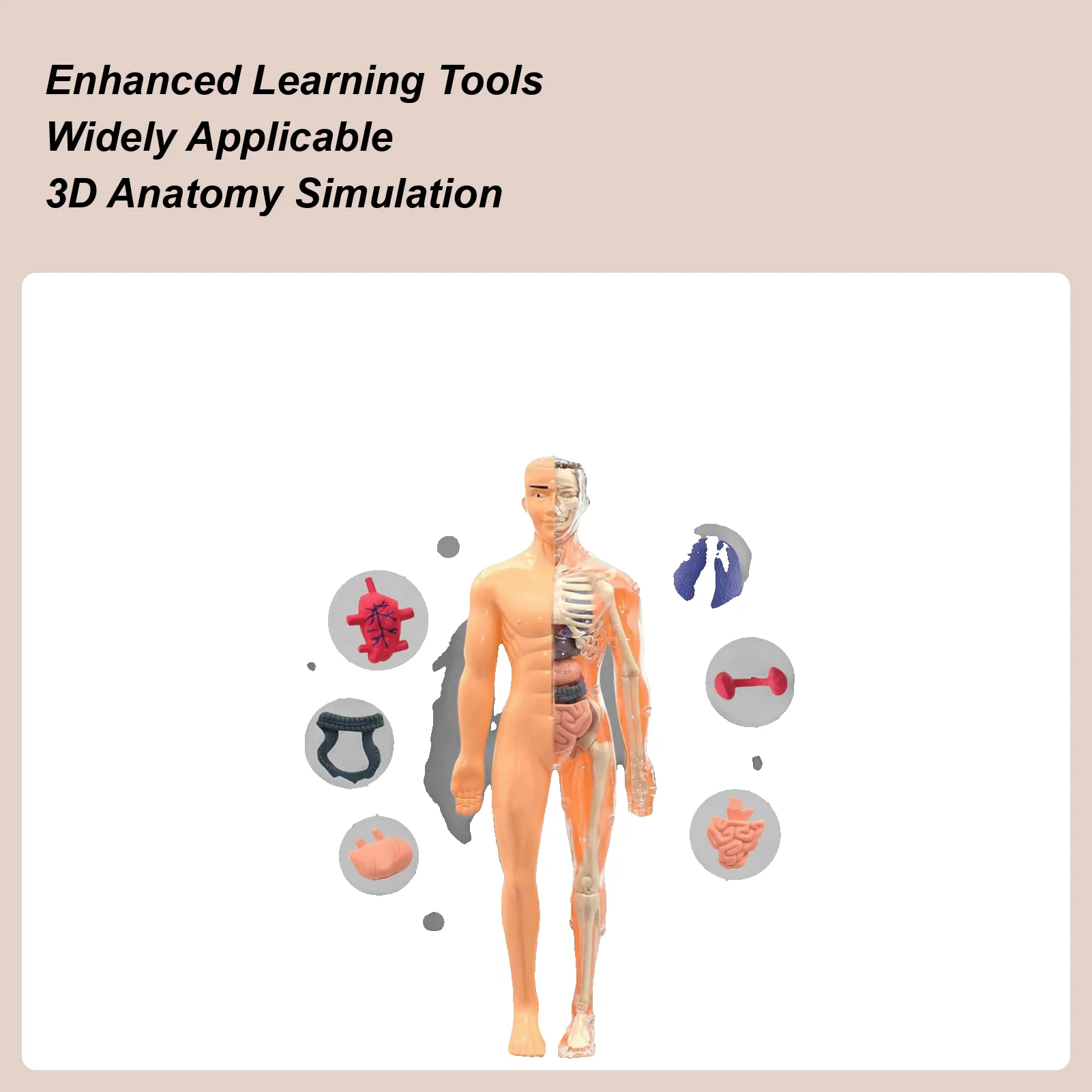 

Анатомическая модель скелета, 3D образовательная анатомическая фигурка, обучающий инструмент для детей в возрасте 6, студенческие классы, учителя, художественная студия