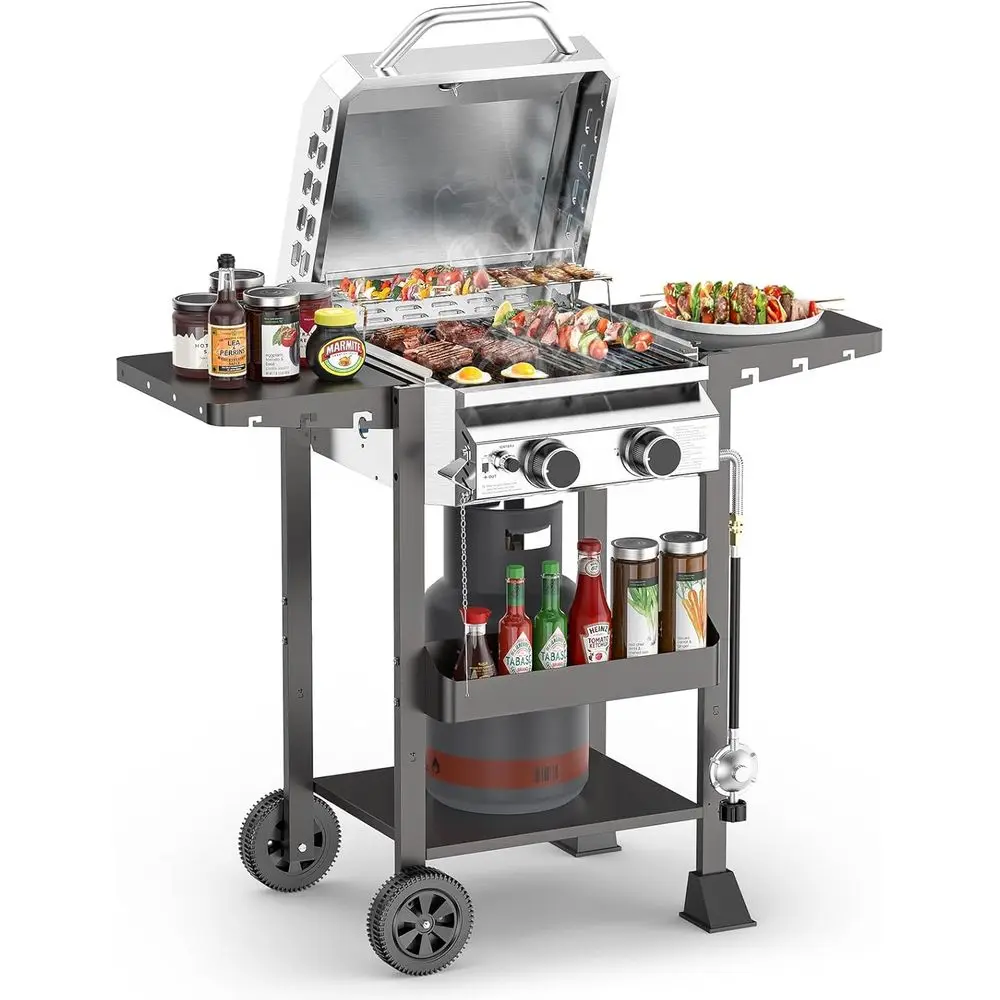 

Stainless Steel 2-Burner Propane Grill, 16,000 BTU, with Foldable Sides and Storage - Perfect for Outdoor BBQs and Camping