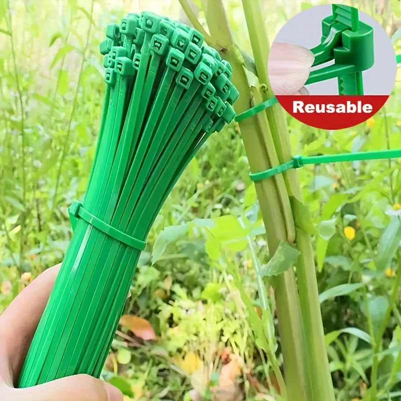 

200Pcs Reusable Garden Ties Plant Support Shrubs Fastener Tree Locking Nylon Adjustable Plastic Ties Tools Gardening Ties