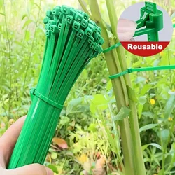 200 pz Riutilizzabili Fascette Da Giardino Supporto Per Pianta Arbusti di Fissaggio Albero di Bloccaggio In Nylon Fascette In Plastica Regolabili Strumenti Fascette Da Giardinaggio