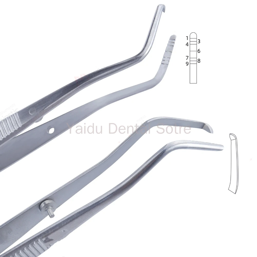 1PC Periodontal Marking Tweezers Toothed Graduated with Positioning Holes Stainless Steel Dental Tweezers Oral Examination Mark