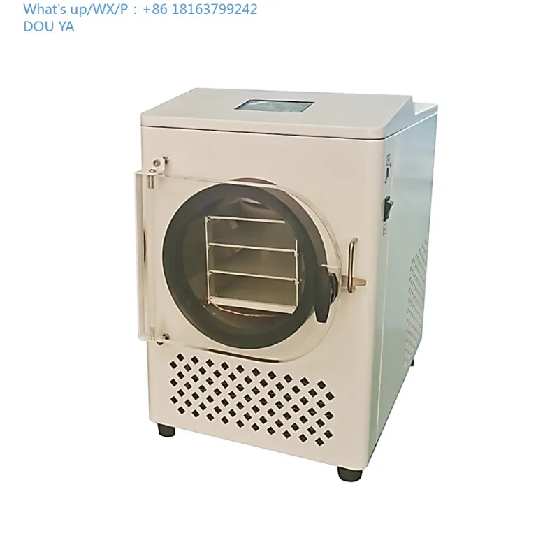 New Small-Sized Lea…