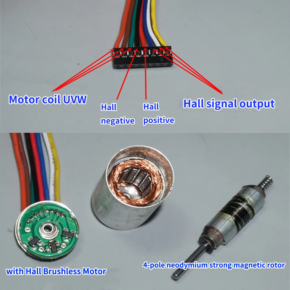 Micro 1632 Hall Brushless Motor BLDC 16mm Precision Inner Rotor Double Ball Bearing Nd Strong Magnetic DC 8V-18V 5600-12000RPM