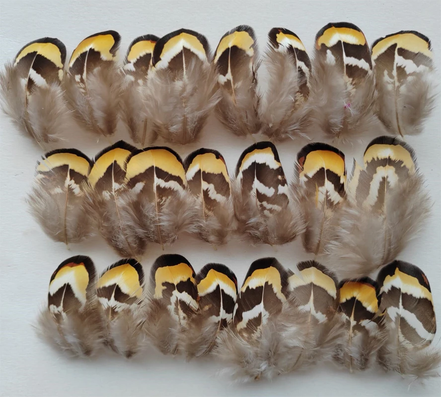 200Pcs/lot! 4-9cm Long Natural Yellow Reeves Pheasant Feathers for Fly Tying, Millinery,Jewelry Making,Cheap Feathers