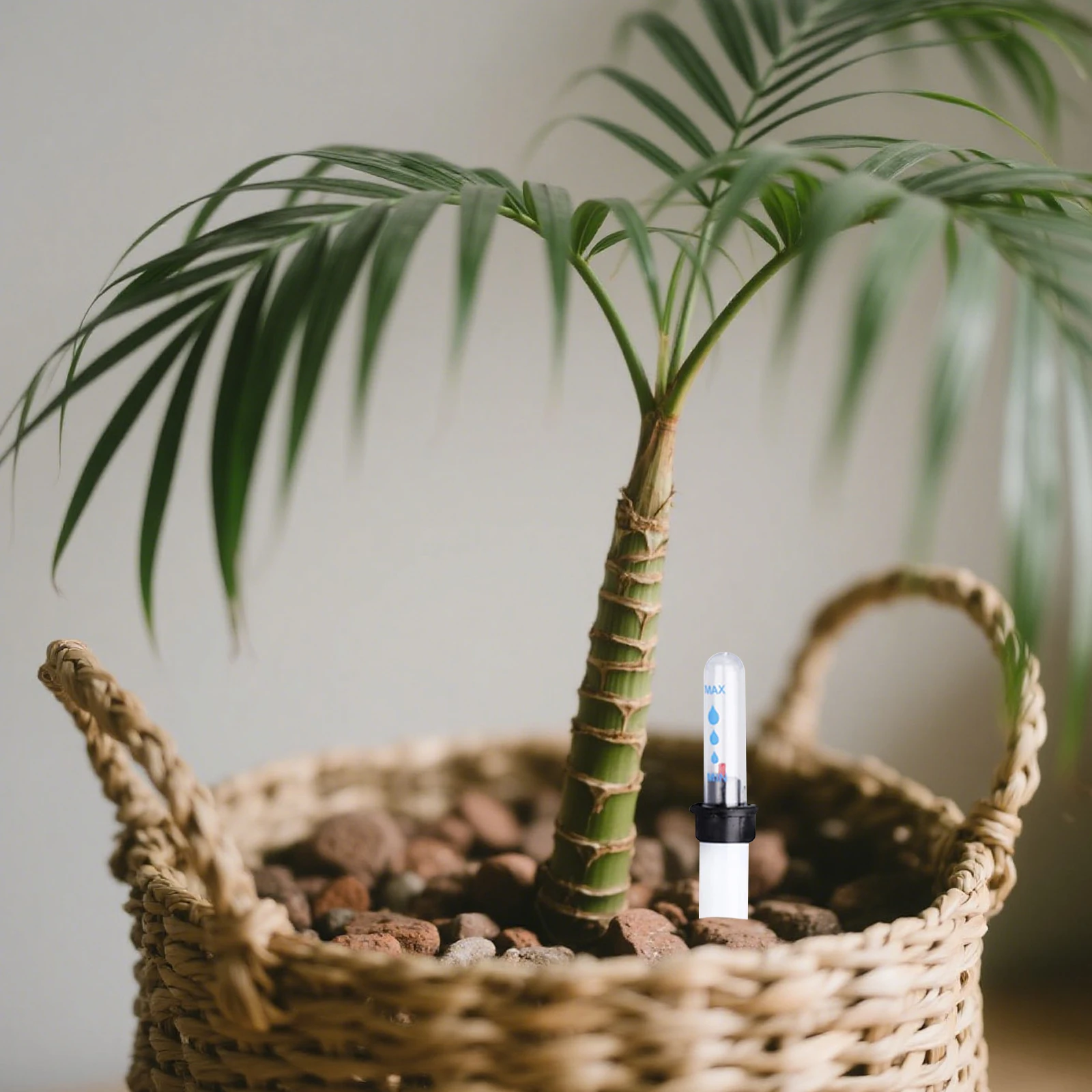 

6Pcs Water Level Indicator for Houseplants Reliable Water Gauge with Floating Buoy Display for Soil Hydration Monitoring