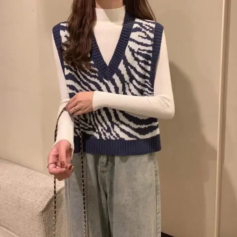 Chaleco de punto con estampado de cebra para mujer, suéter sin mangas con cuello en V, prendas de vestir exteriores a la moda, chaleco suelto para primavera, Otoño e Invierno