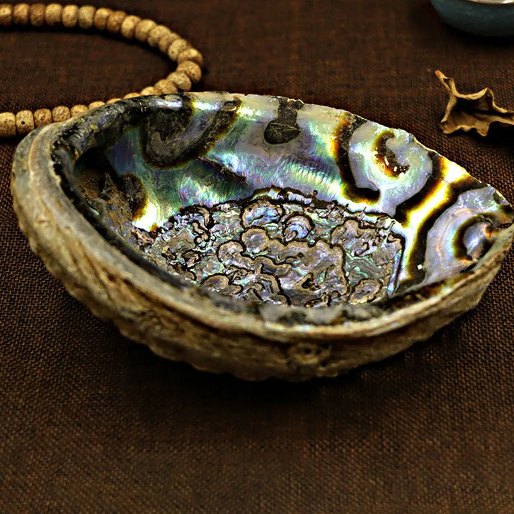 Nepal Sage Burning Holder Large Natural Wood Base Abalone Shell Ashtray Desktop Ornament Stable Bracket Home Office Cafe