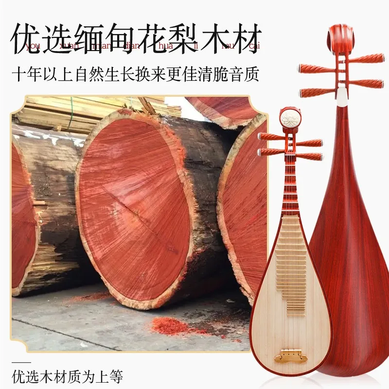 Pipa Musical Instrument Rosewood Beginner's Introduction Chicken Wings Wood Pipa Adult Professional Grade Examination Playing Pi