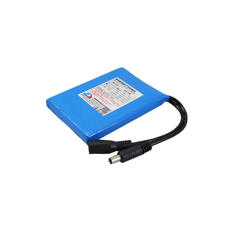 CIS 코어 폴리머 리튬 배터리, 3000 Ma 11.1V, 3AH 알람 스퀘어 댄스 사운드 배터리, 12V