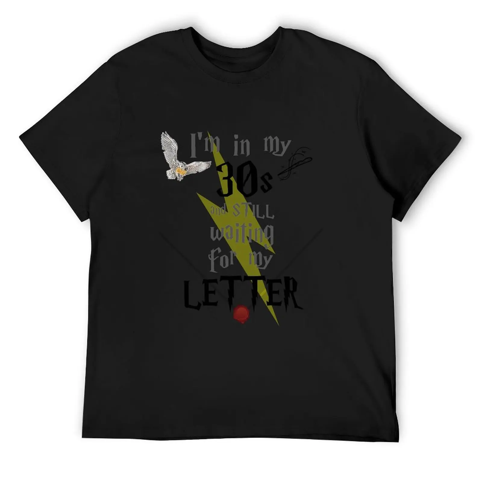 

In My 30s Waiting for Magic - Black Text T-Shirt vintage graphic tee kawaii clothes Funny t-shirts Men's t-shirt
