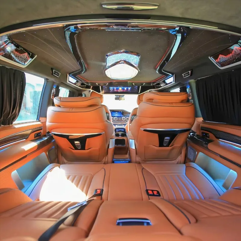 Vito Portable Executive Van Interior Accessories Caramel Leather Captain Chairs Blue Sky LED Star Light Headliner