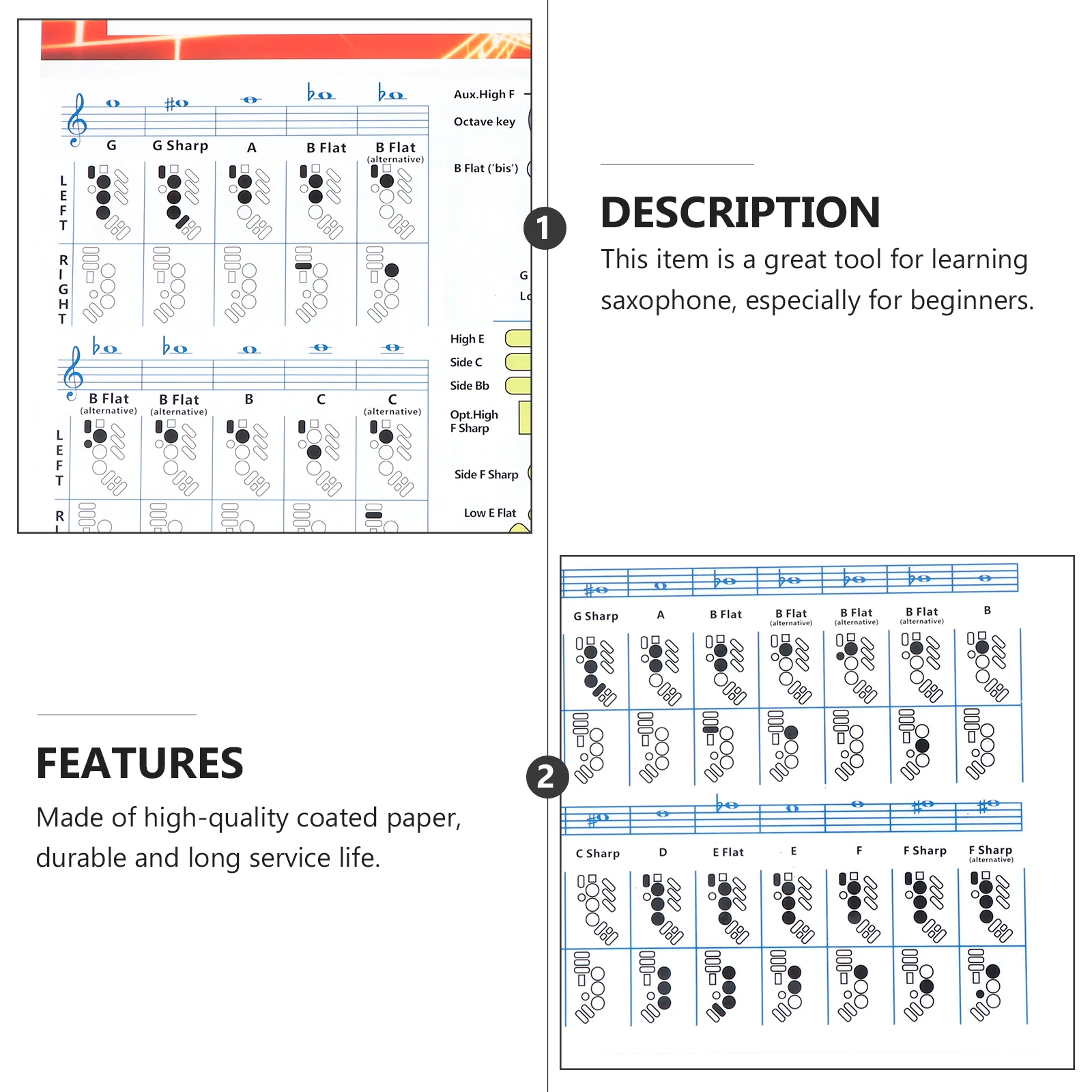 

2 Pcs Saxophone Chord Chart Finger Poster Fingerboard Alto Beginner Coated Paper