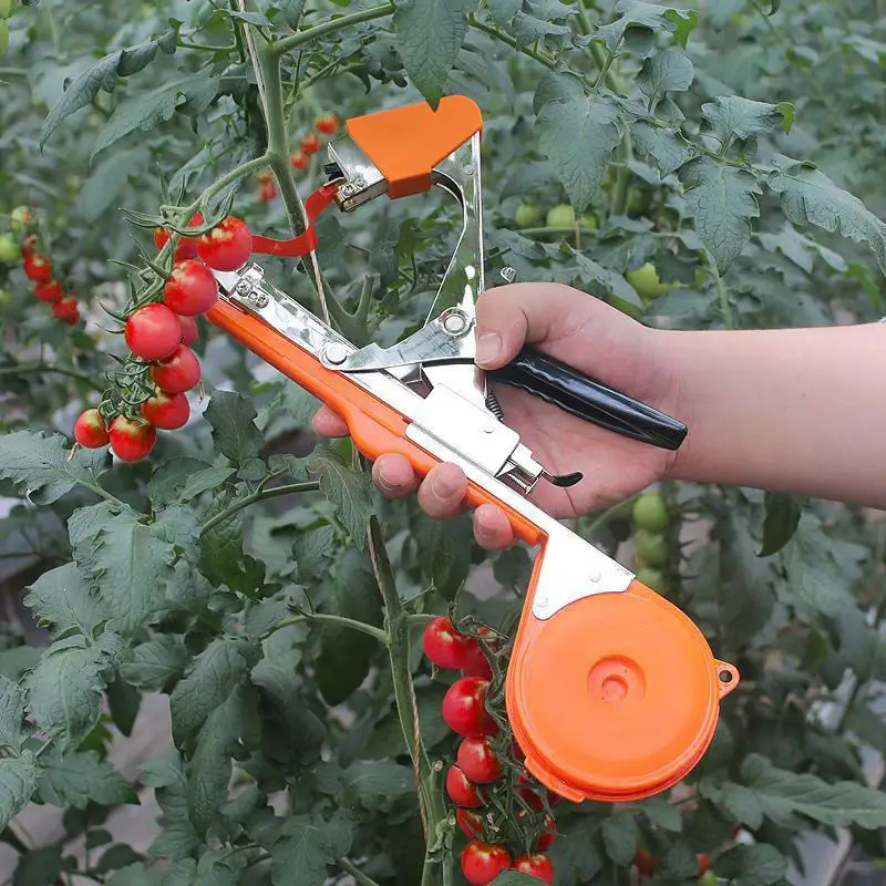 

Оптовая продажа: Промышленный регулируемый ручной инструмент для подвязки растений из нержавеющей стали, сверхмощный, для садоводства и сельского хозяйства