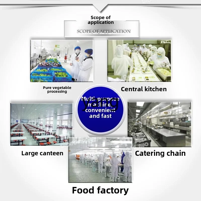 مقشرة التنظيف الكهربائية بجذر اللوتس الجبلية من نوع الفرشاة الأوتوماتيكية التجارية LTT #2