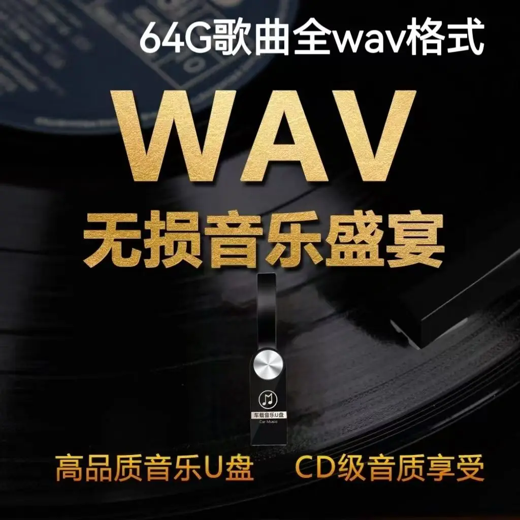 موسيقى USB، جودة صوت عالية، أغاني كلاسيكية شعبية جديدة، تنسيق USB WAV للسيارة #1