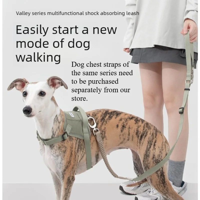 Dog Leash Bungee Buffer Shock Absorbing Hands Free Anti Pull Adjustable Waist Shoulder Strap Dual Clip Pet Walk Heavy Duty