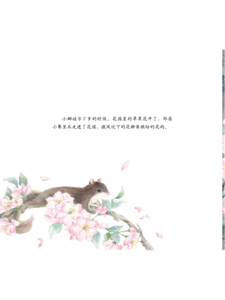 สวนบุ๊ค-วินแชร์