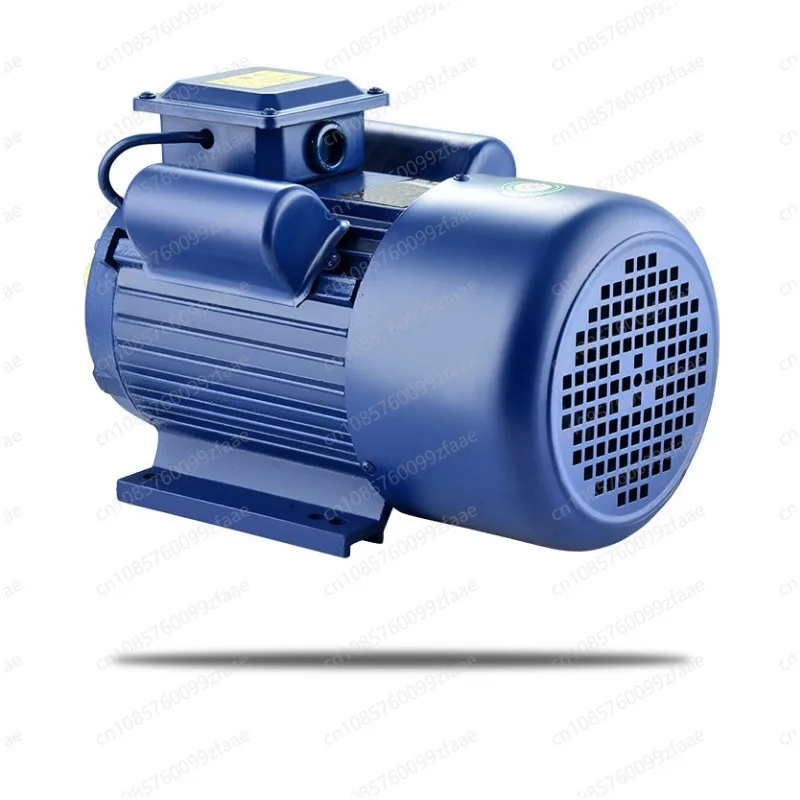 Single Phase Asynchronous Electric Motor Cast Iron Housing AC Induction Motor For Industrial Machinery Equipment