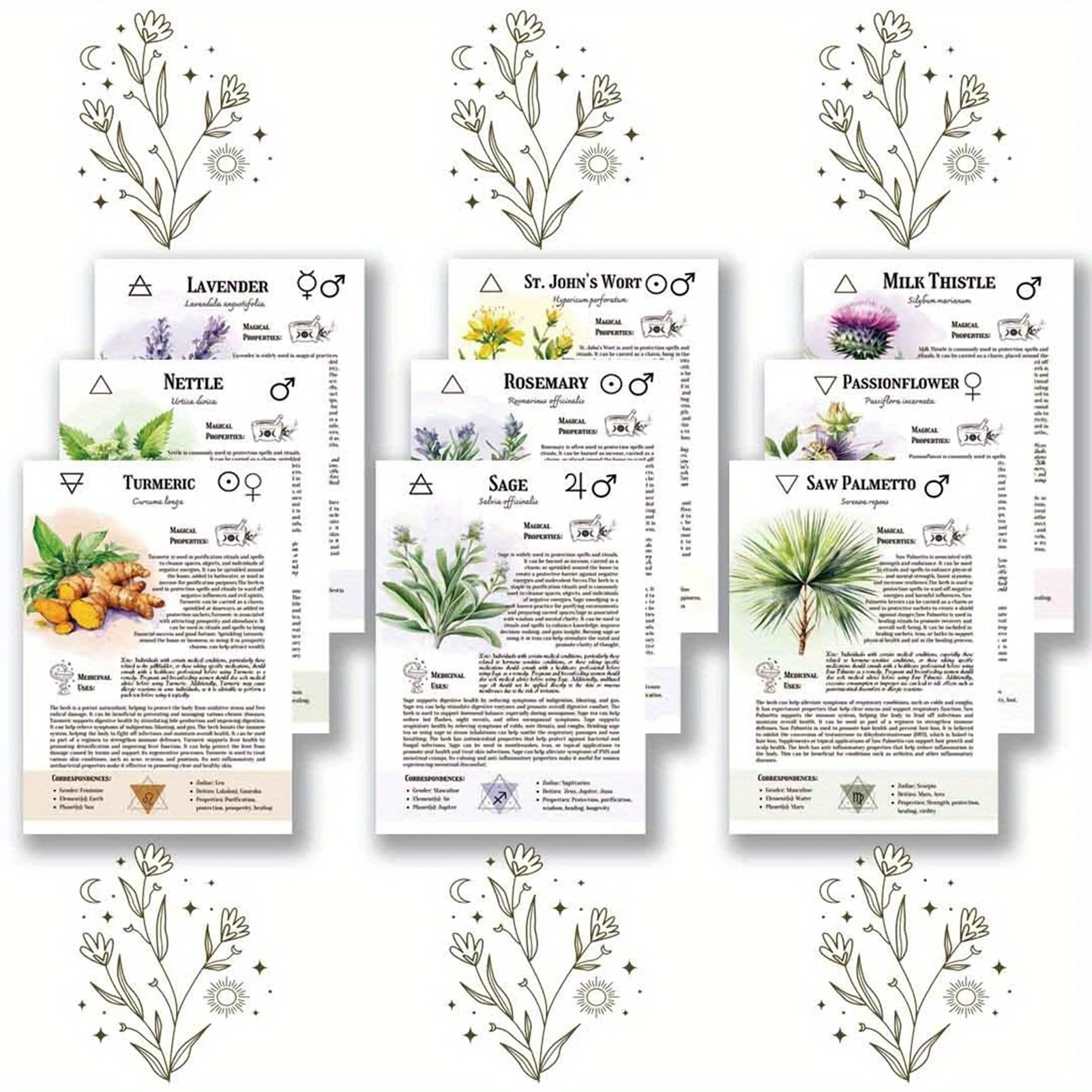 دفتر ملاحظات عشبي الساحرة المميز مع تخطيط منظم لتخطيط الحياة وتسجيل التمنيات الطبية #4