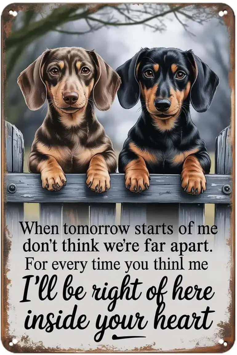 Dachshund Dog Remembrance Gift Tin Sign Cute Puppy Lover Memorial Vintage Metal Signs Wall Decor for Kitchen Bar Cafe Bedroom Ho